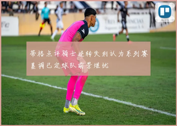 蒂格点评骑士逆转失利认为系列赛基调已定球队前景堪忧