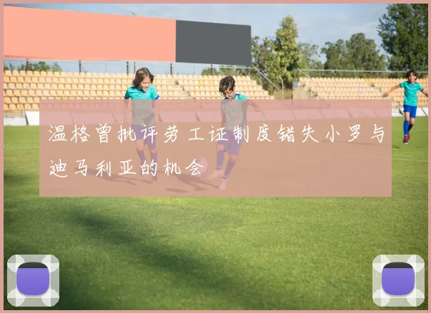 温格曾批评劳工证制度错失小罗与迪马利亚的机会